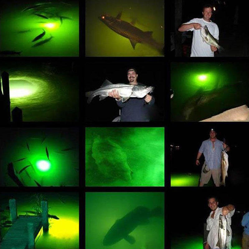zeleno LED svjetlo za ribu