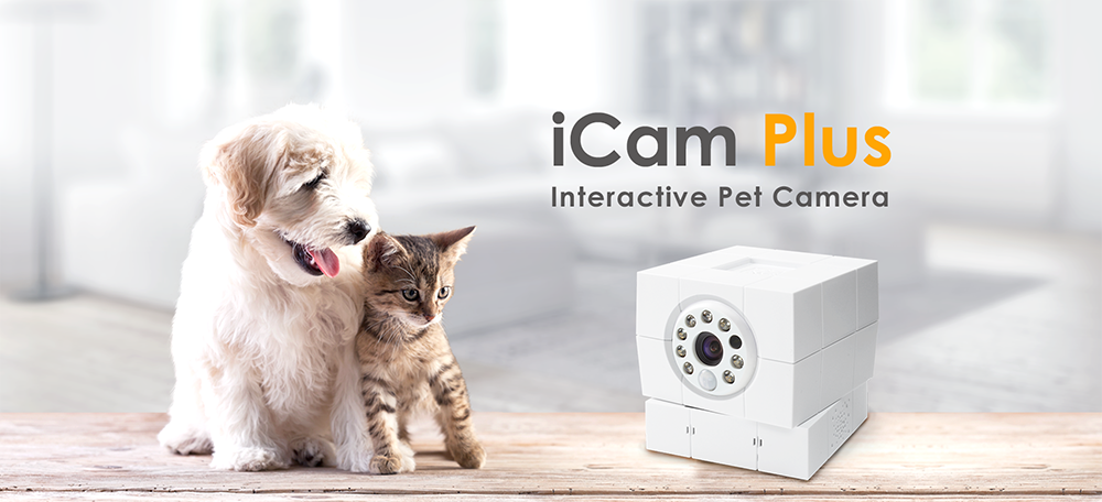 nadzor kućne IP kamere plus životinje