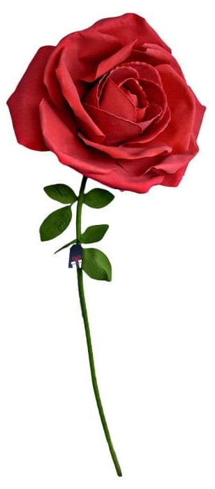 XXL ogromna ruža - Ruže na poklon ženi