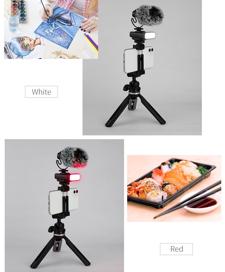 stativ za mobilni telefon (držač za selfie) + mikrofon i svjetlo