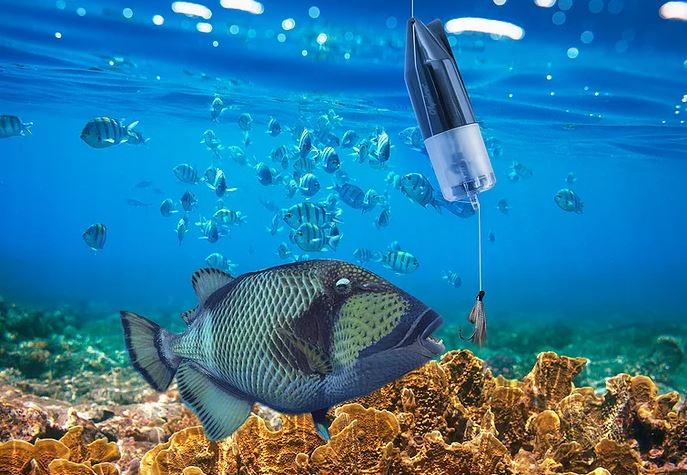 kamera za podvodne ribe