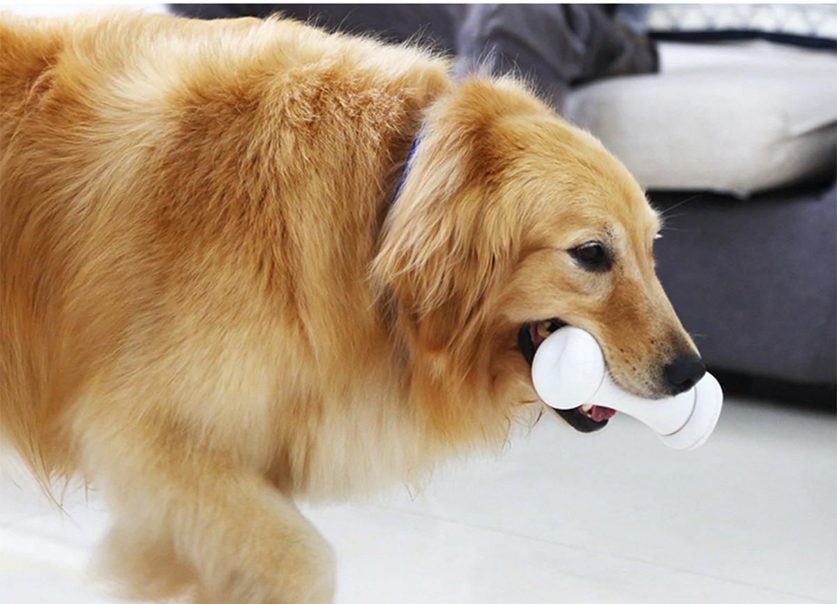 pametna kost igračka za pse opaka kost
